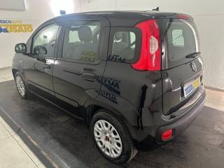 FIAT Panda usata, con Alzacristalli elettrici