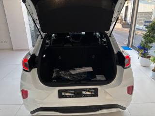 FORD Puma usata, con Cronologia tagliandi