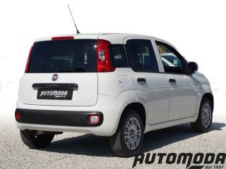 FIAT Panda usata, con Airbag Passeggero