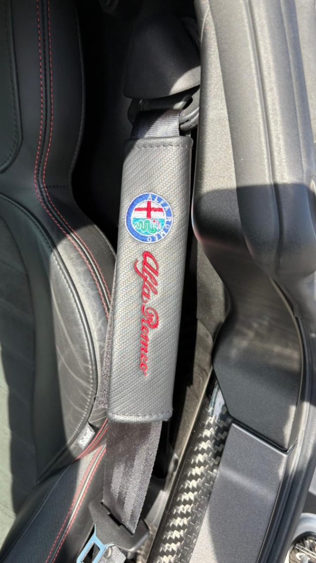 ALFA ROMEO 4C usata 20