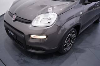 FIAT New Panda usata 23