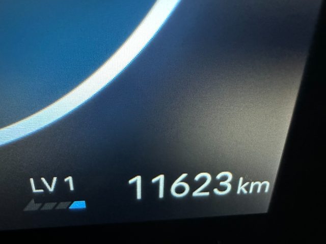 HYUNDAI Kona usata, con Cruise Control