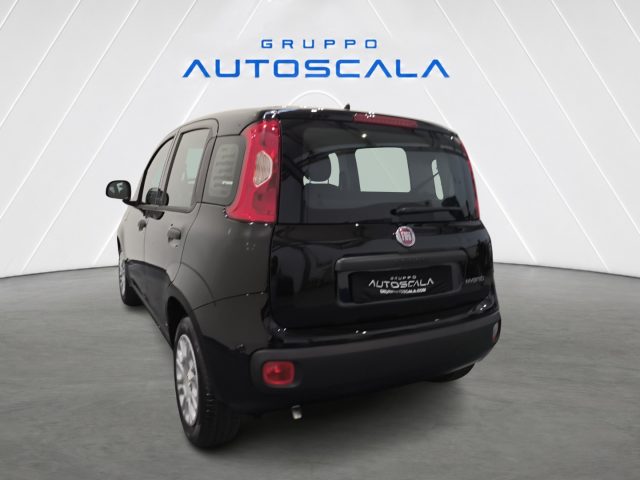 FIAT Pandina usata, con Airbag Passeggero