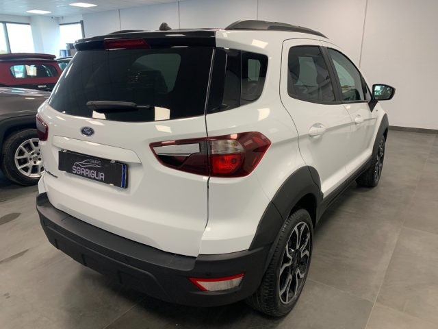 FORD EcoSport usata, con Bracciolo