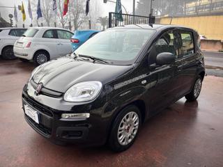 FIAT Panda usata, con Airbag Passeggero