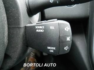 RENAULT Scenic usata, con Autoradio digitale