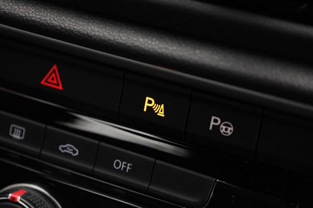 VOLKSWAGEN T-Roc usata, con Cruise Control