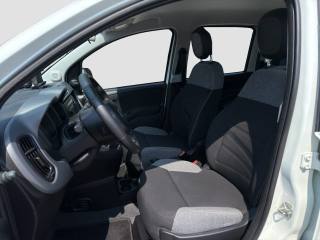 FIAT Panda usata 9