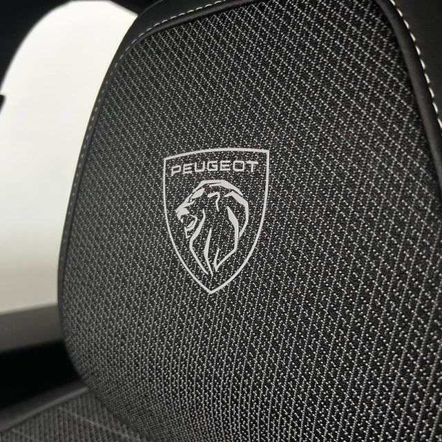 PEUGEOT 3008 usata, con Controllo trazione