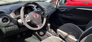 FIAT Punto usata 14