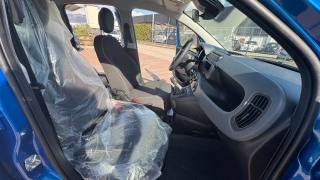 FIAT Pandina usata, con Sensori di parcheggio posteriori