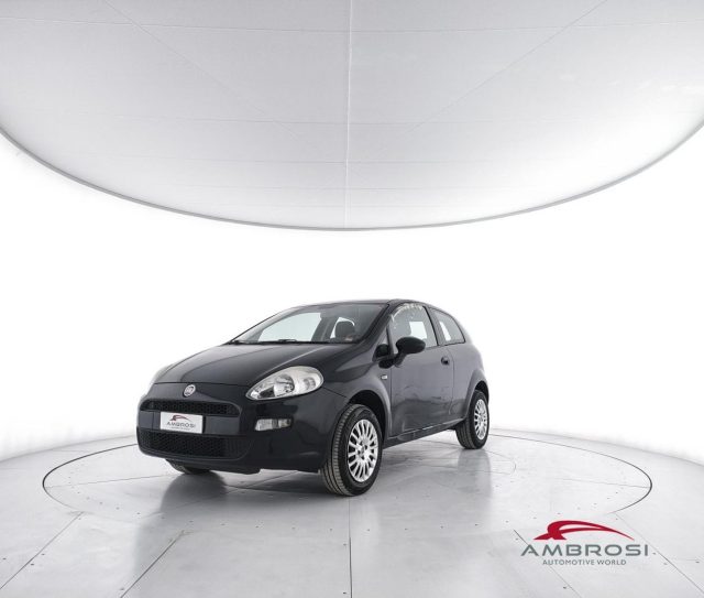 FIAT Punto usata 0