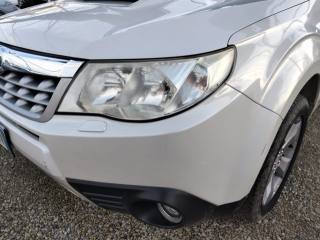 SUBARU Forester usata, con Airbag Passeggero