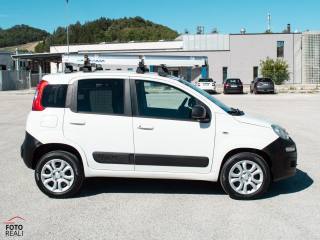 FIAT Panda usata, con Fendinebbia