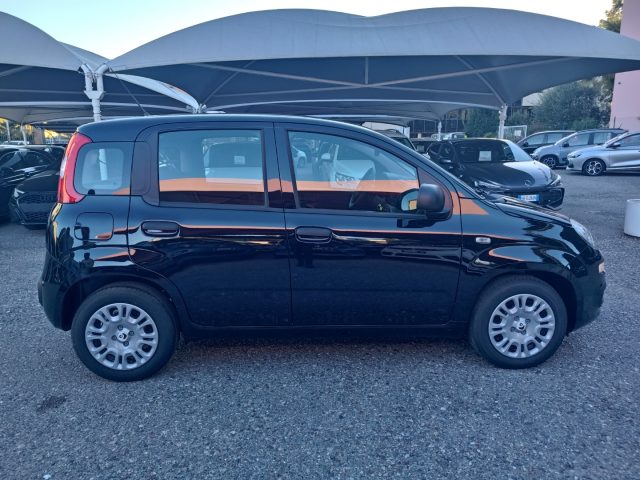 FIAT Panda usata, con Chiusura centralizzata