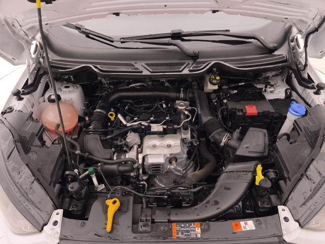 FORD EcoSport usata, con Sensore di luce
