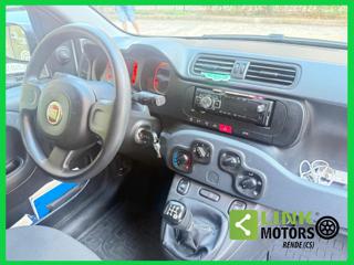 FIAT Panda usata 25