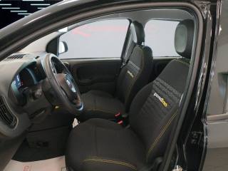 FIAT Panda usata 13