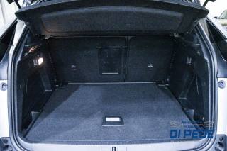PEUGEOT 3008 usata, con Vetri oscurati