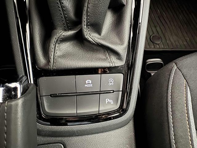 SKODA Kamiq usata, con Controllo trazione