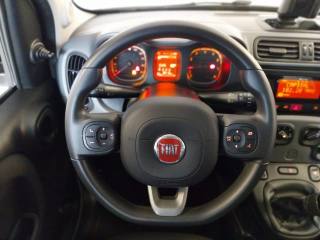 FIAT Panda usata, con Boardcomputer