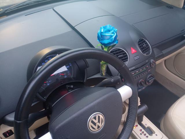 VOLKSWAGEN New Beetle usata, con Adatto a portatori di handicap