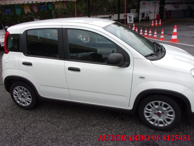 FIAT Panda usata, con Antifurto