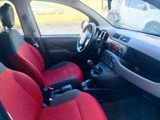 FIAT Panda usata 9