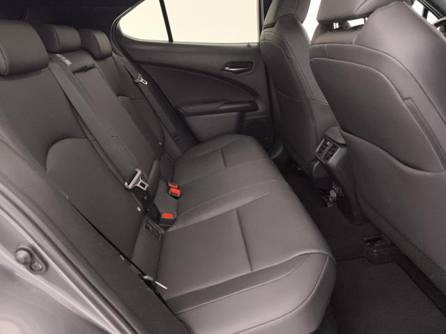 LEXUS UX 250h usata, con Sensore di pioggia