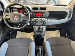 FIAT Panda usata, con Servosterzo