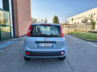 FIAT Panda usata, con Alzacristalli elettrici
