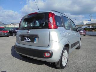 FIAT Panda usata 12