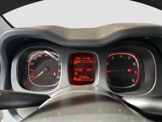 FIAT Panda usata 13