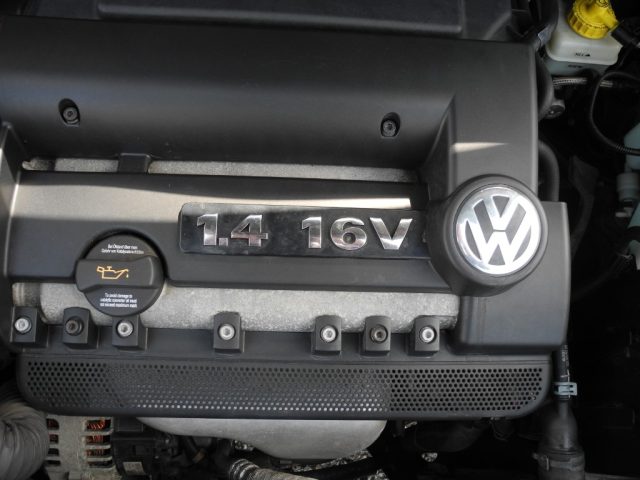 VOLKSWAGEN New Beetle usata 65