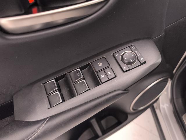 LEXUS NX 300h usata, con Volante in pelle