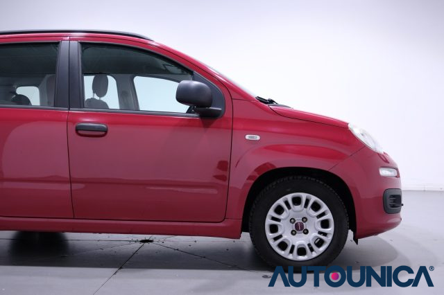 FIAT Panda usata 48
