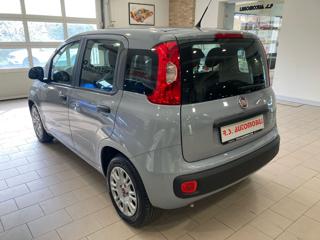 FIAT Panda usata, con Alzacristalli elettrici