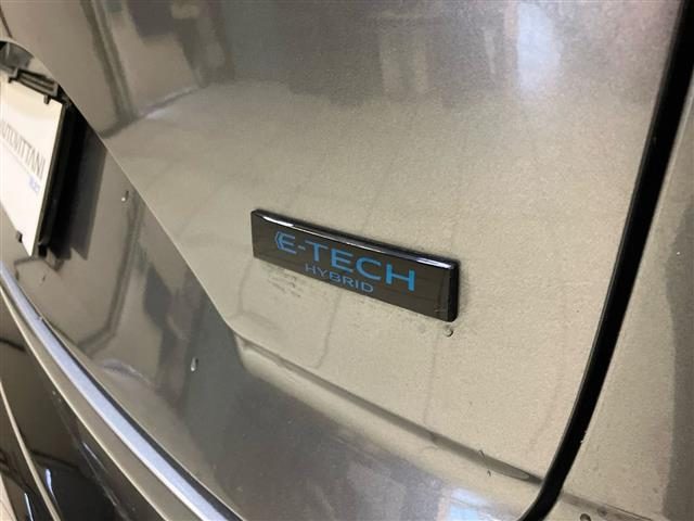 RENAULT Austral usata 28