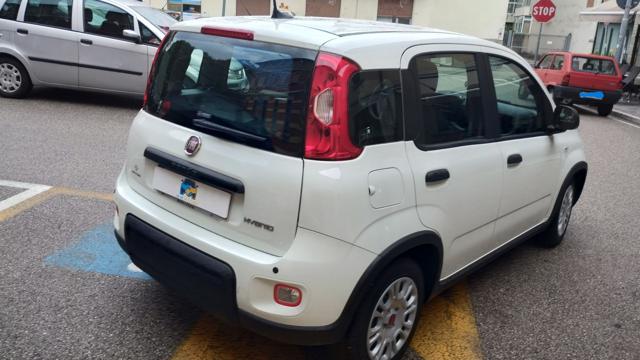 FIAT Panda usata, con Antifurto