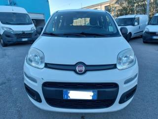 FIAT Panda usata 2