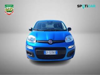 FIAT Panda usata 17