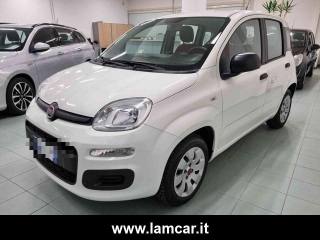FIAT Panda usata, con Alzacristalli elettrici