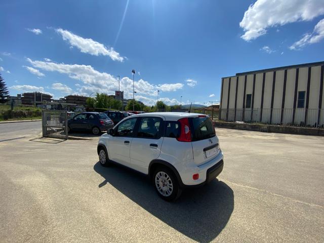 FIAT Panda usata 14