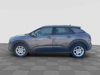 CITROEN C4 Cactus usata 1