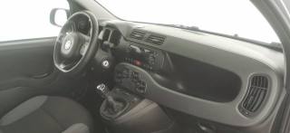 FIAT Panda usata 36