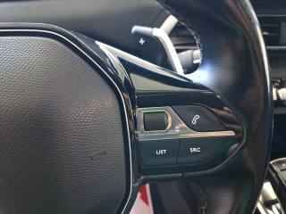 PEUGEOT 3008 usata, con Filtro antiparticolato
