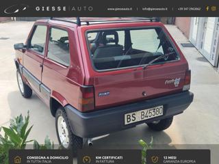 FIAT Panda usata 4
