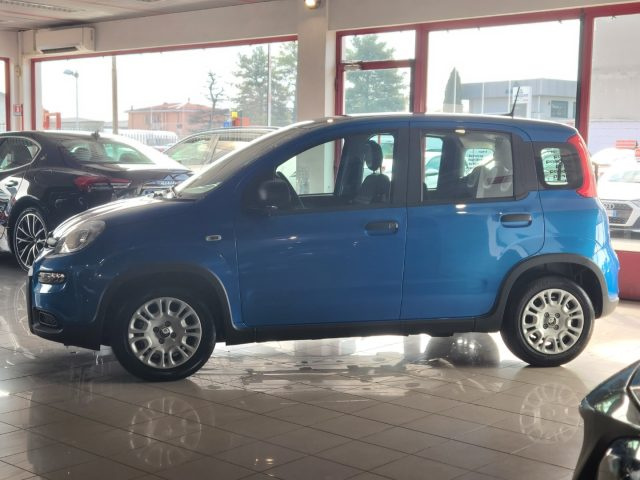FIAT Panda usata, con Frenata d