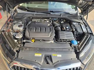 SKODA Octavia usata 136