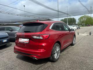FORD Kuga usata, con Alzacristalli elettrici